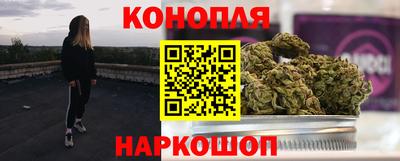 стаф Лесосибирск