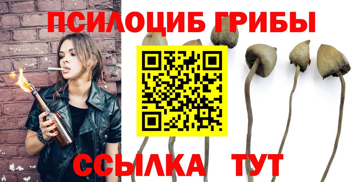 Псилоцибиновые грибы GOLDEN TEACHER  Вход с VPN  наркошоп  Псилоцибиновые грибы Psilocybine cubensis  Владимир 